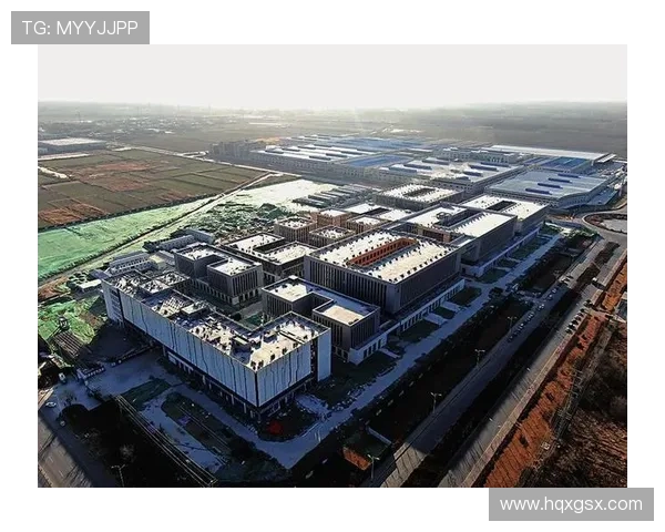 聚焦潍坊企业家创新驱动推动区域高质量发展与未来愿景蓝图塑造力